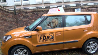Fake Driving School a percerz viszgabiztos elcsábítja a krapekot